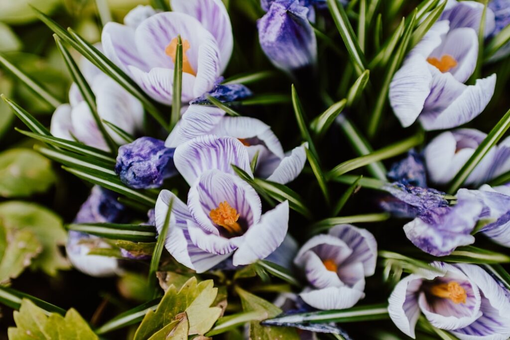 Photo Outdoor classroom