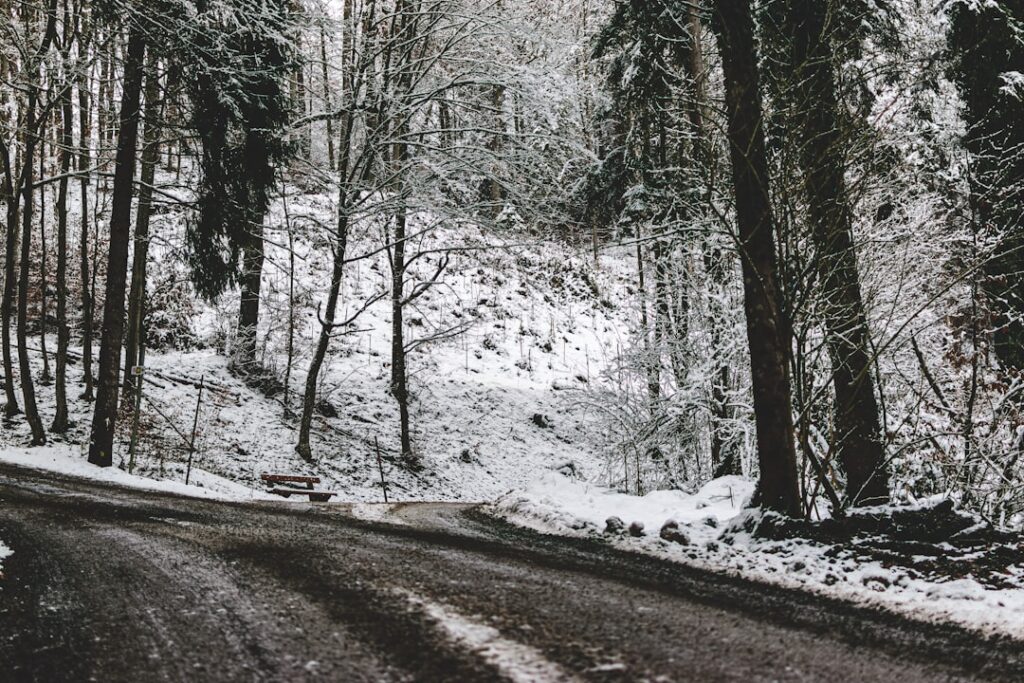 Photo Crossroads