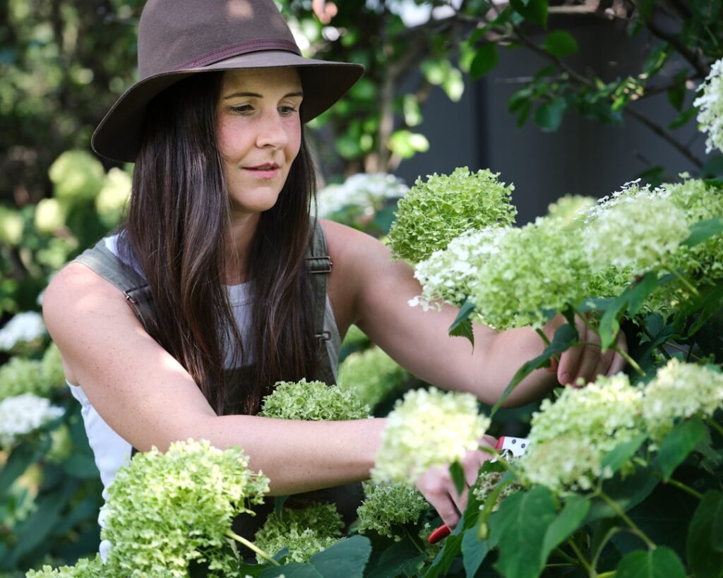 Photo Gardening tools