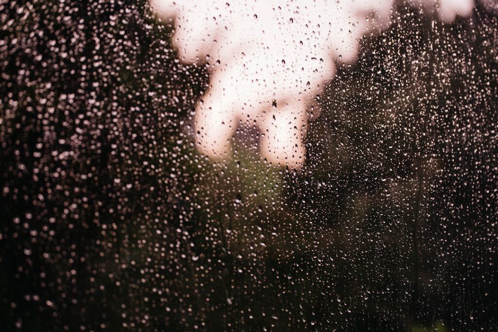 Photo Forgotten memories
