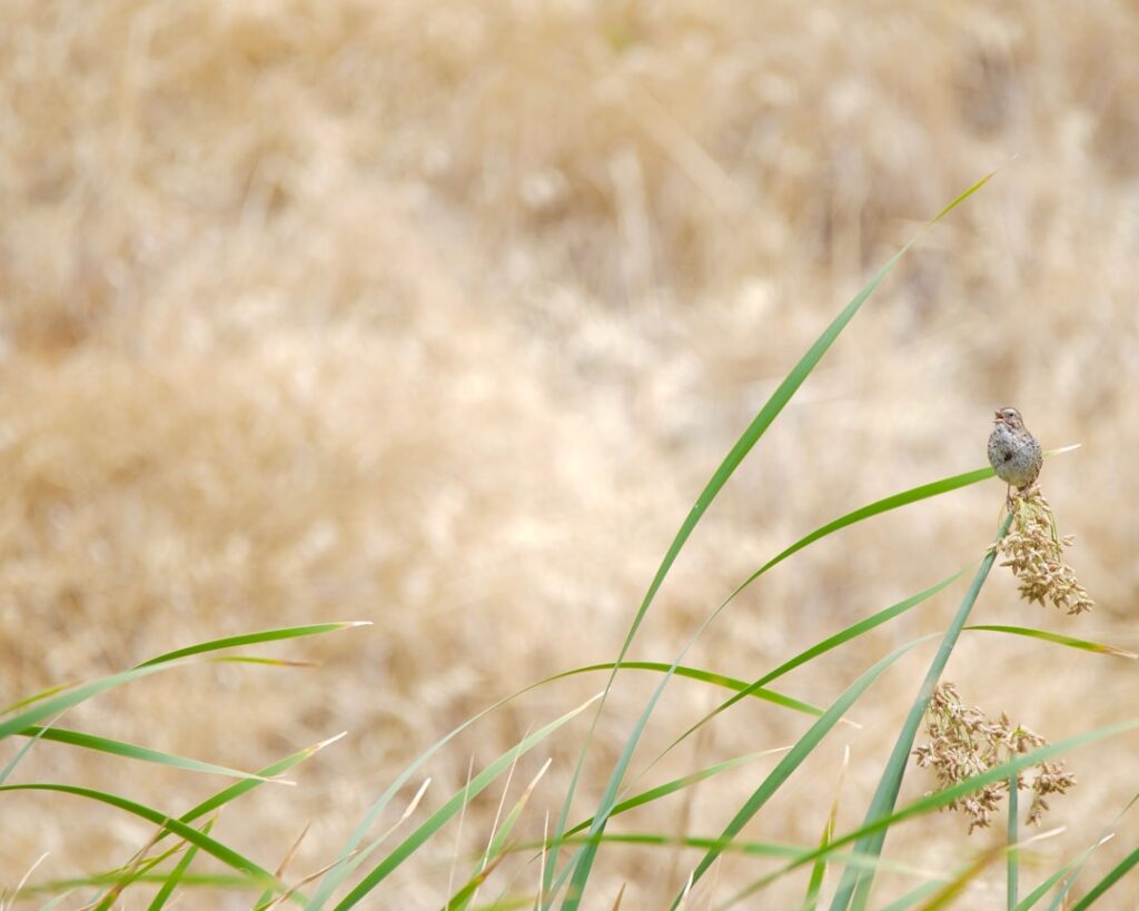 Photo Size comparison