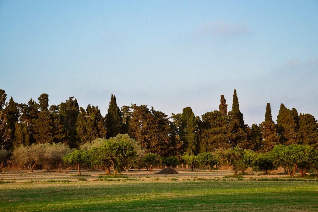 Photo Beautiful landscape