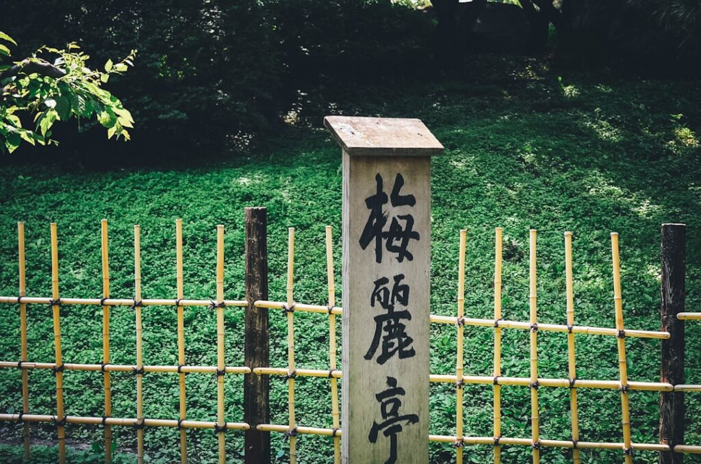 Photo Language immersion