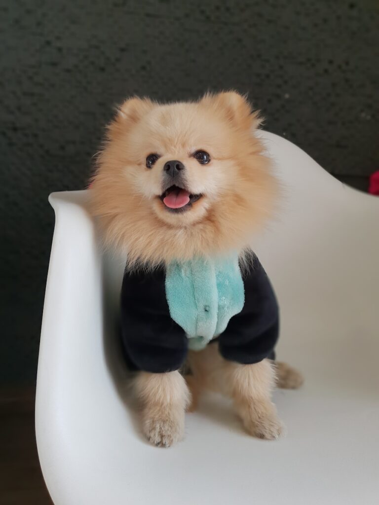 Photo business person