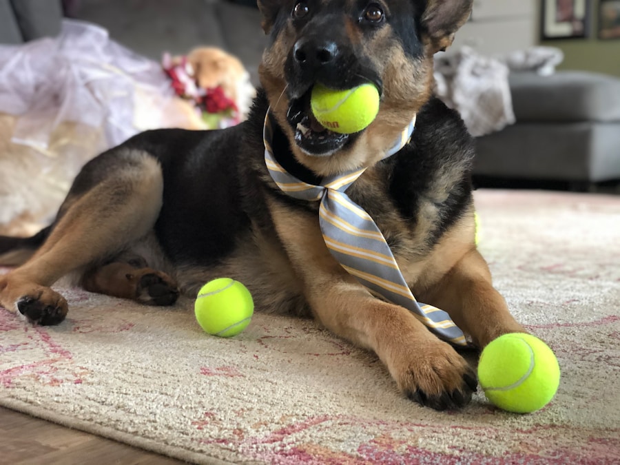Photo business person