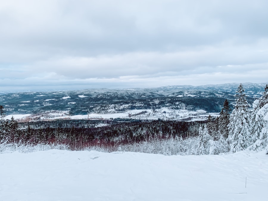 winter norway
