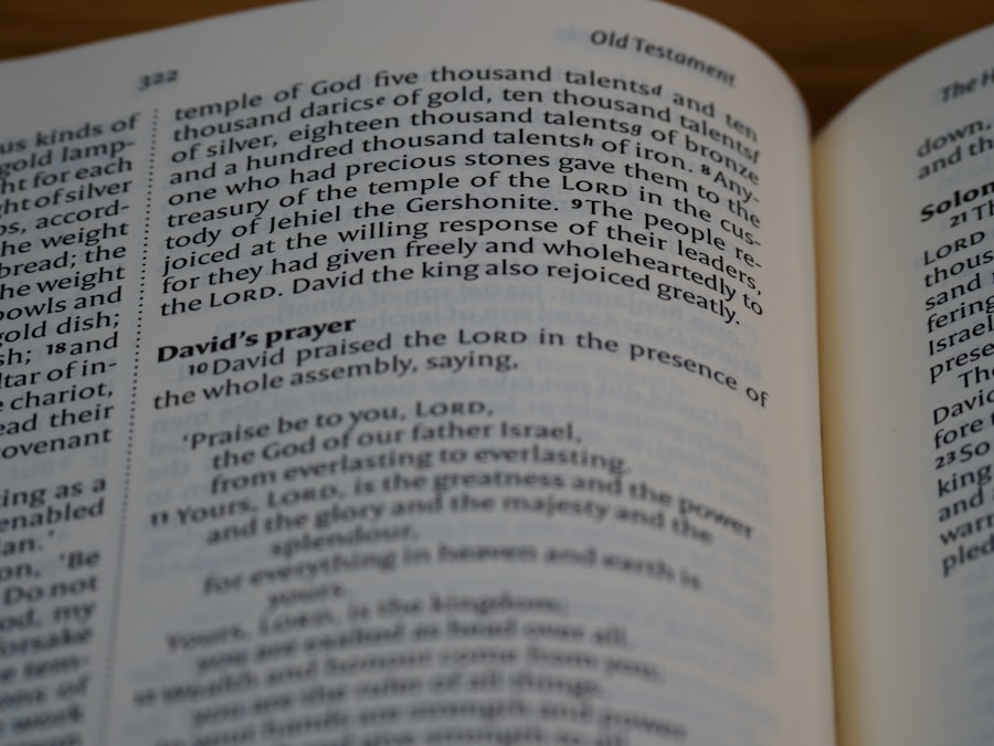 public procurement language