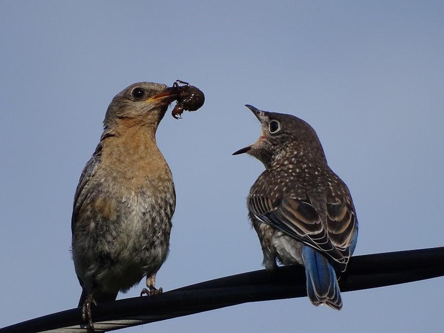 Communicate disagreements