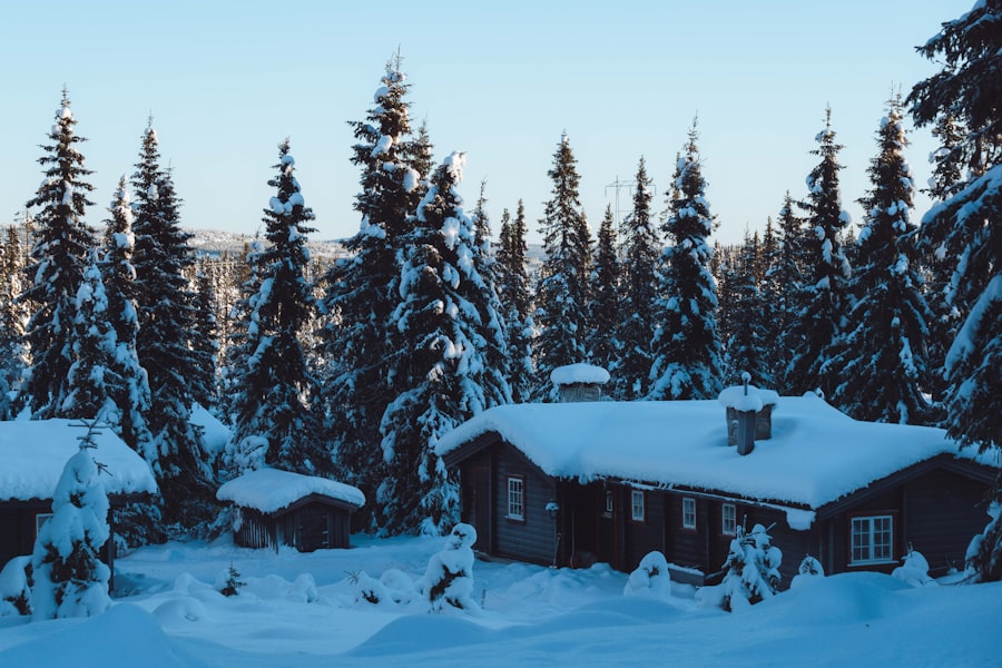 Photo winter norway
