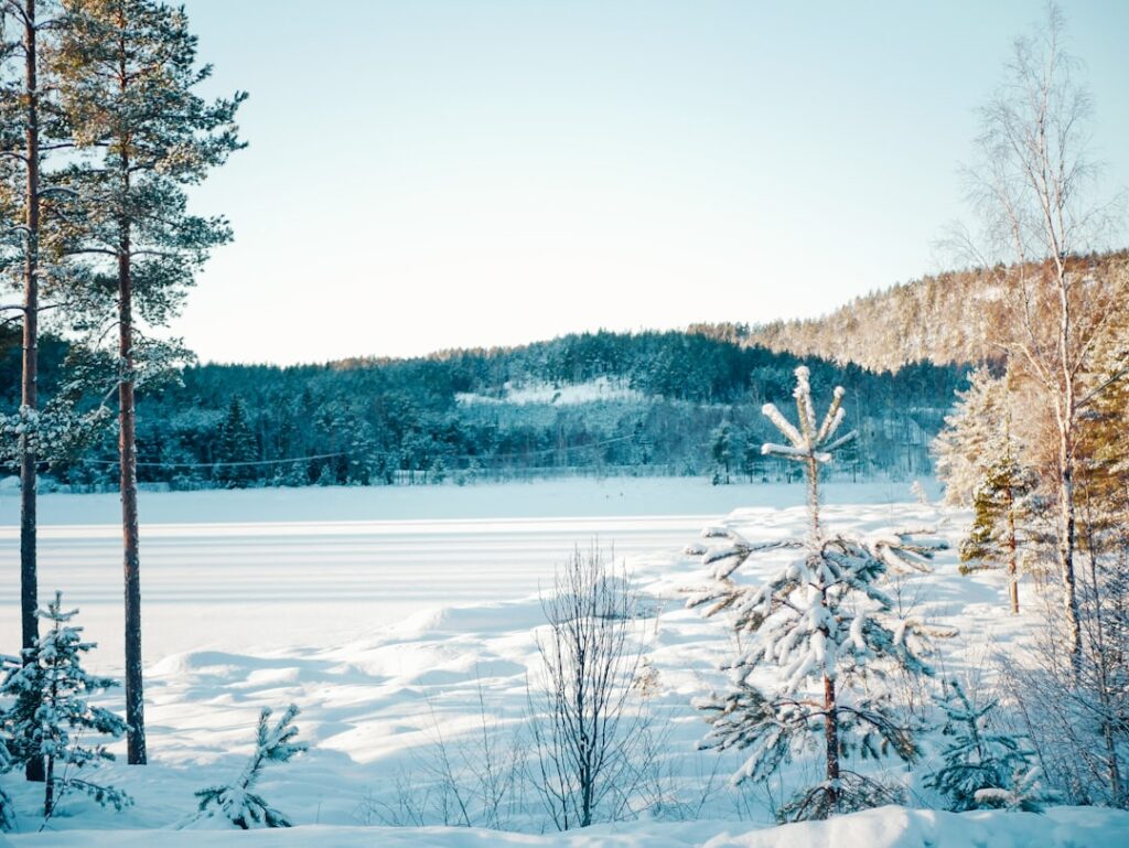 Photo winter norway