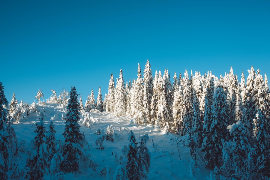 Photo winter norway
