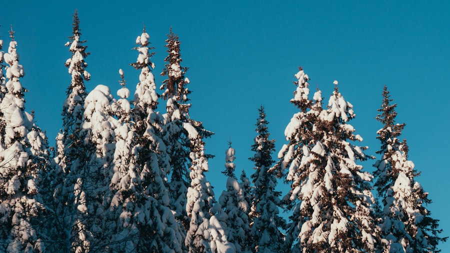 Photo winter norway

