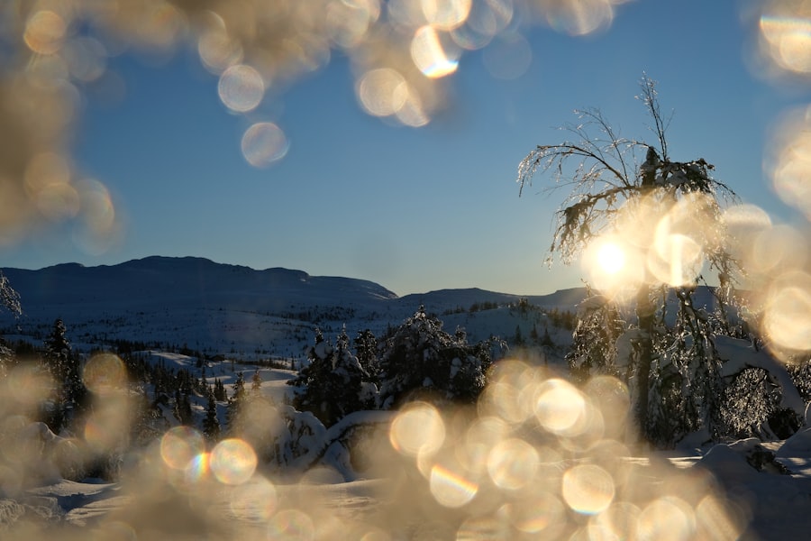 Photo winter norway
