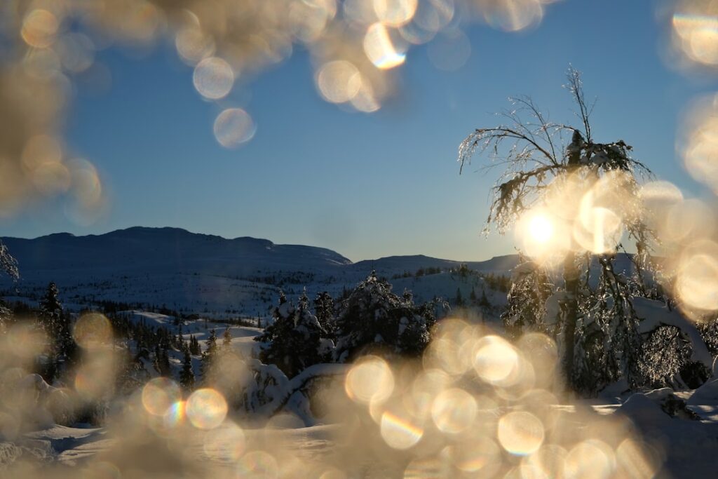 Photo winter norway
