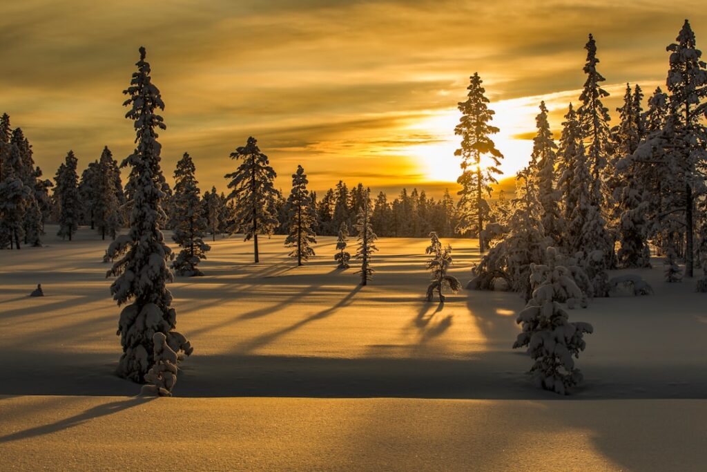 Photo winter norway