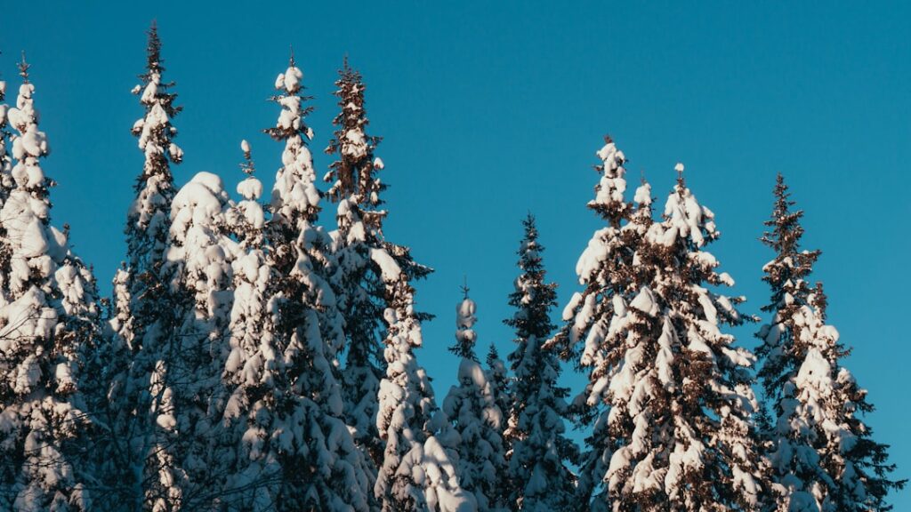 Photo winter norway