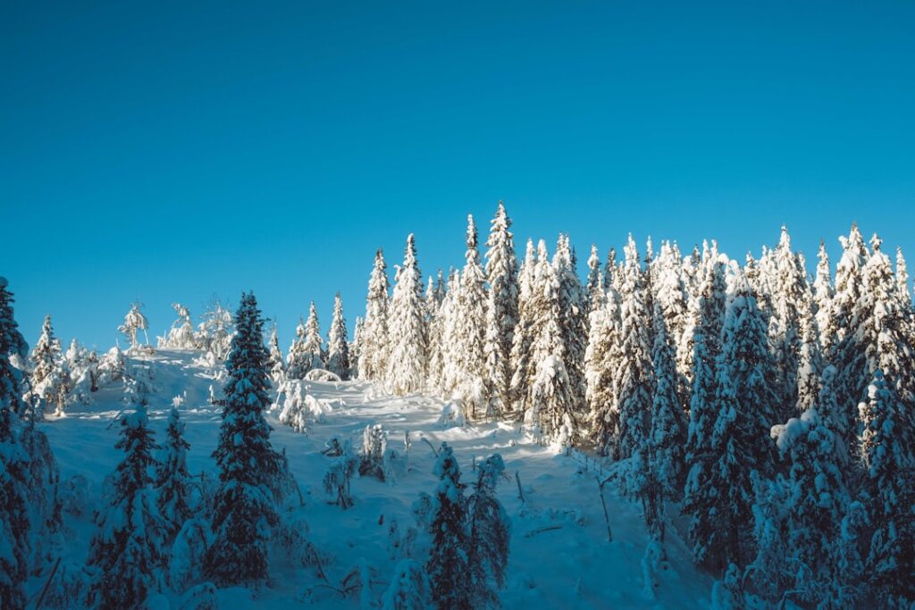 Photo winter norway