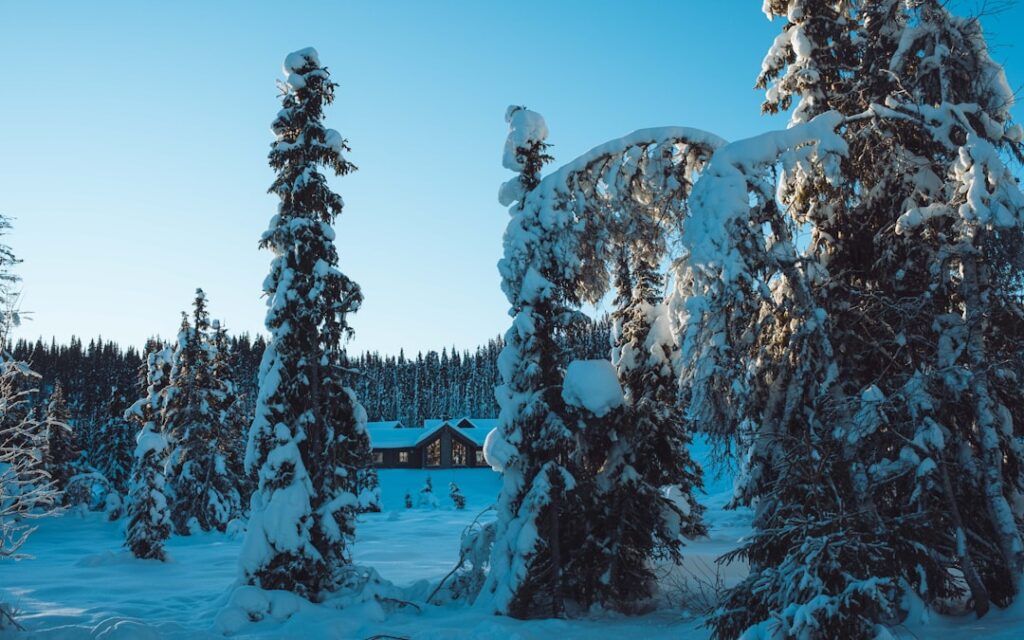Photo winter norway