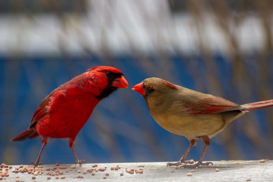 Photo Communicate disagreements