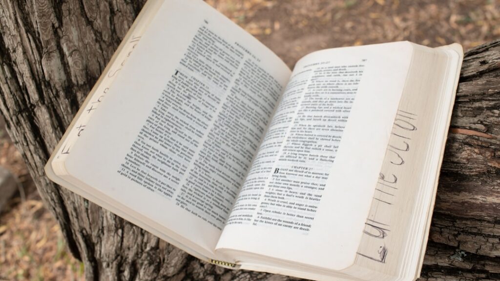 Photo Investment and Finance Language Guide