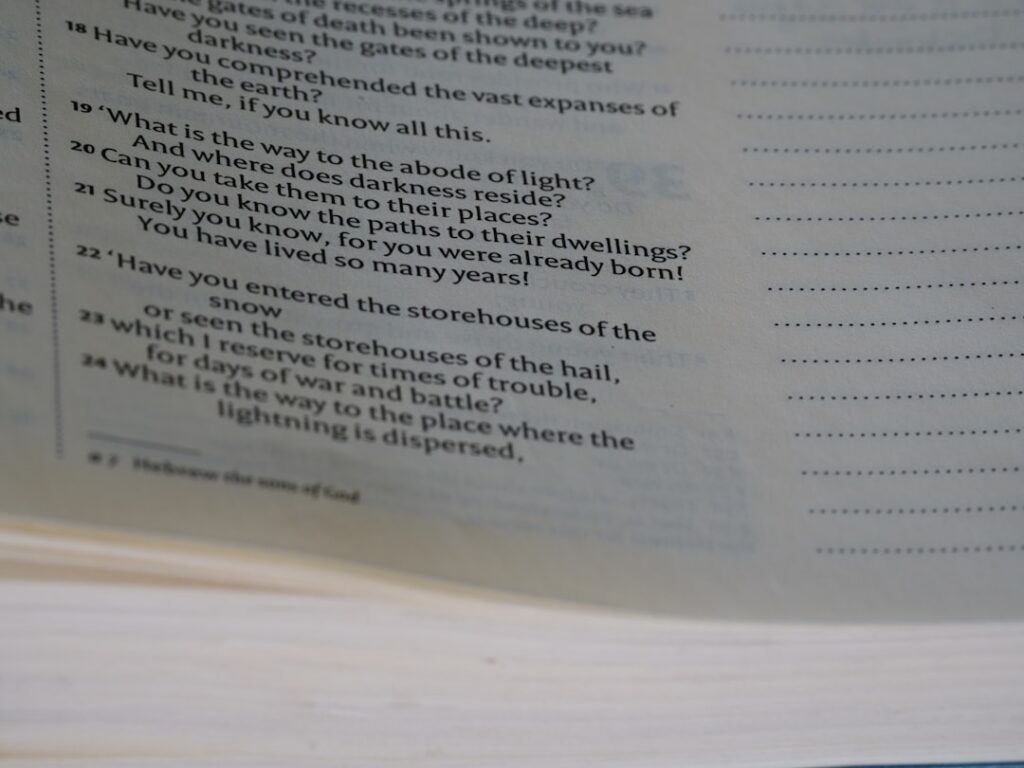 Photo Bewerbungsfragen