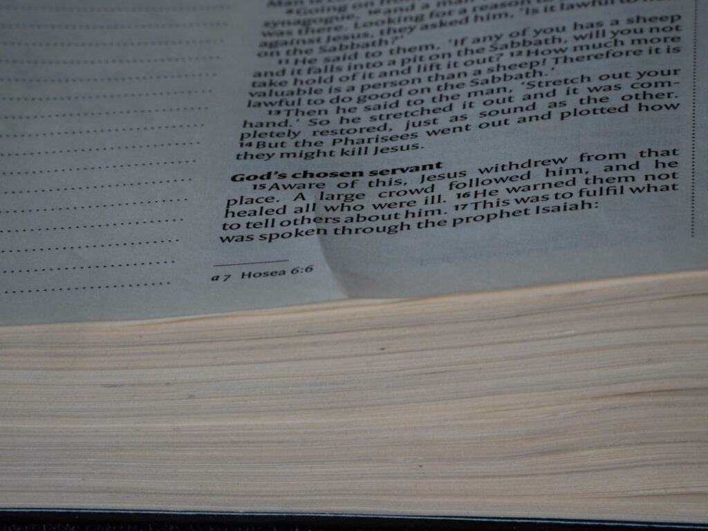 Photo Budgeting and Accounting Language