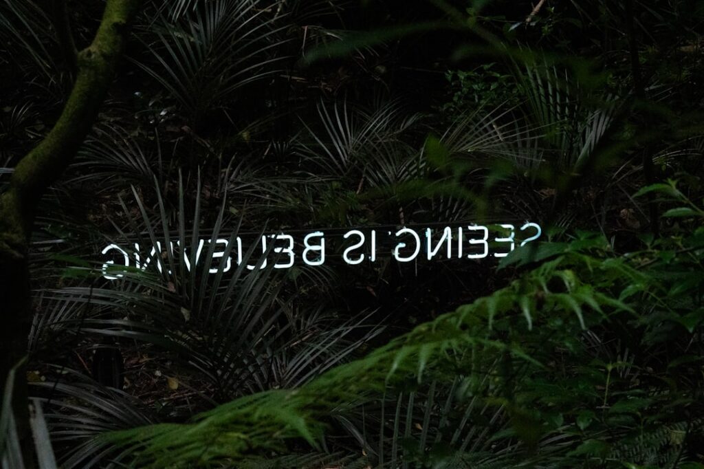 Photo DSGVO