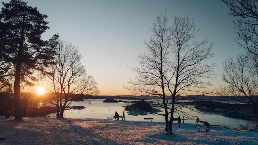 Oslo Winter

