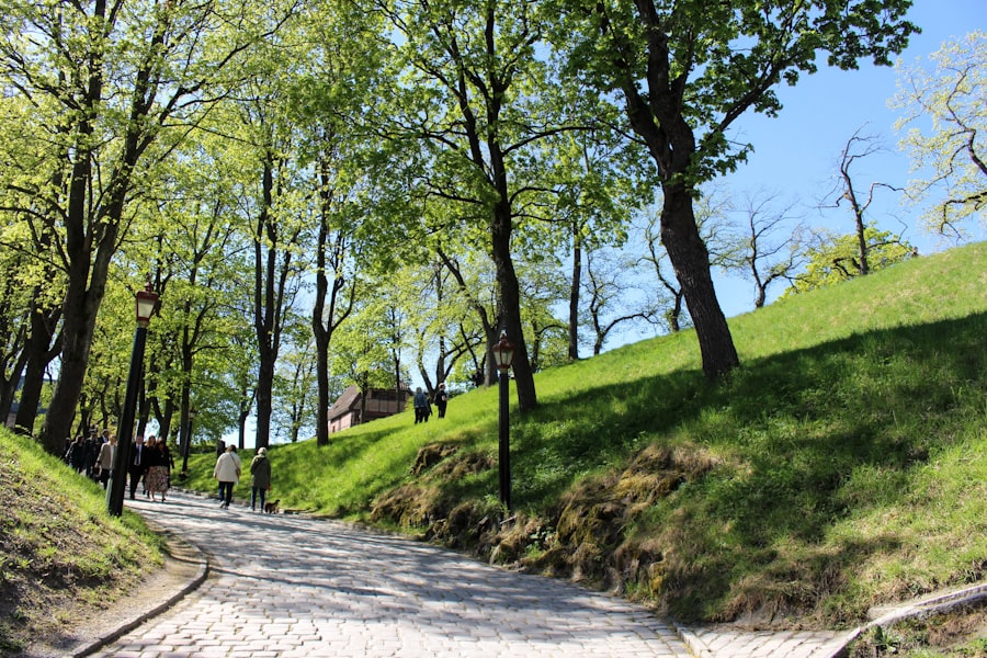 Oslo spring
