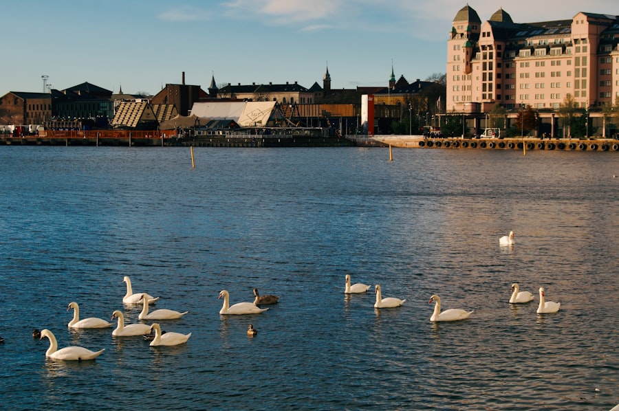 Photo Oslo spring

