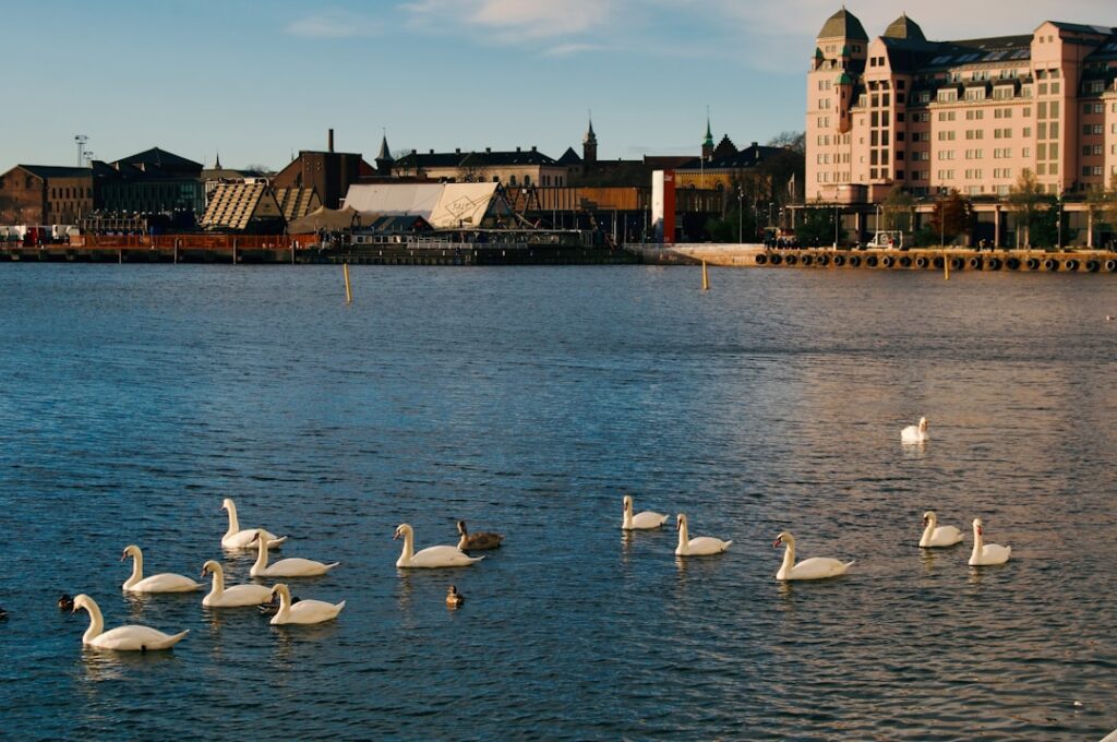 Photo Oslo spring