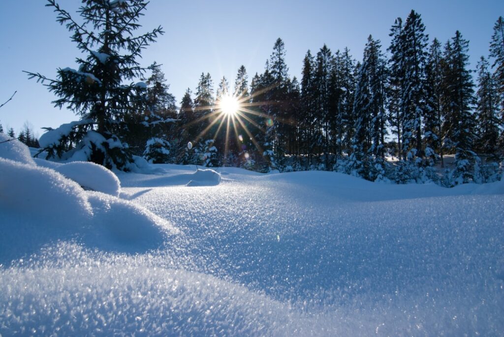 Photo Oslo Winter