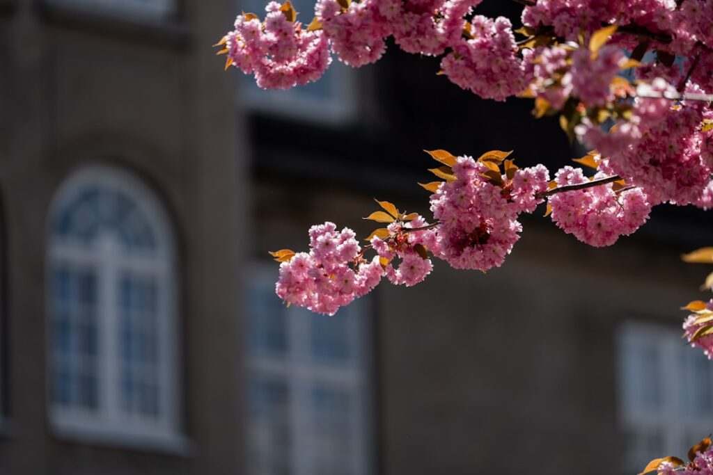 Photo Oslo spring