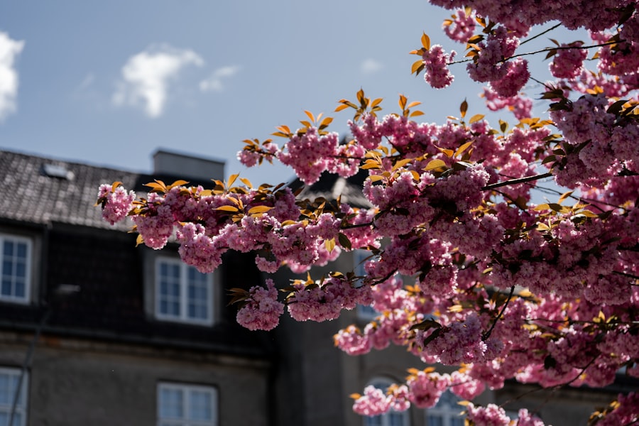 Photo Oslo spring